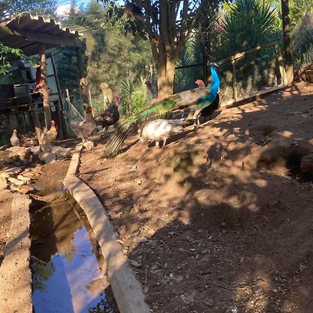 Casa Fontes O Tocano * Valega
