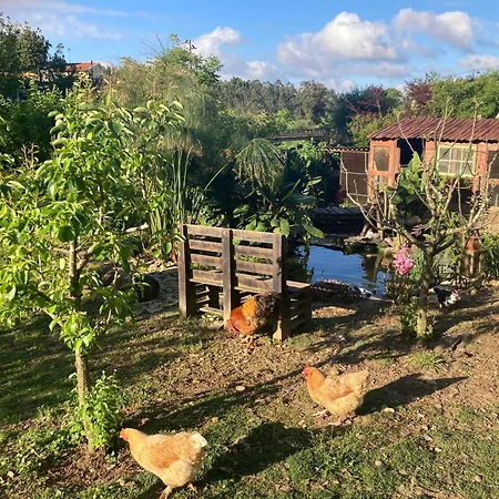 Casa Fontes O Tocano Feriepark Valega