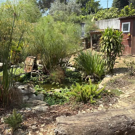 Casa Fontes O Tocano * Valega