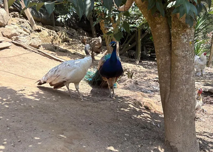 Casa Fontes O Tocano Üdülőpark Valega