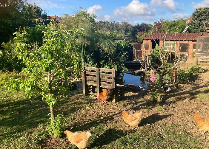 Casa Fontes O Tocano Üdülőpark Valega