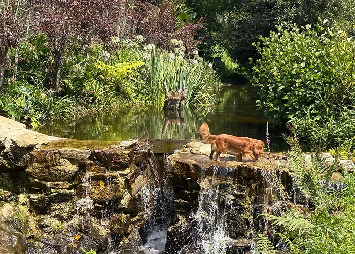 Casa Fontes O Tocano Üdülőpark *